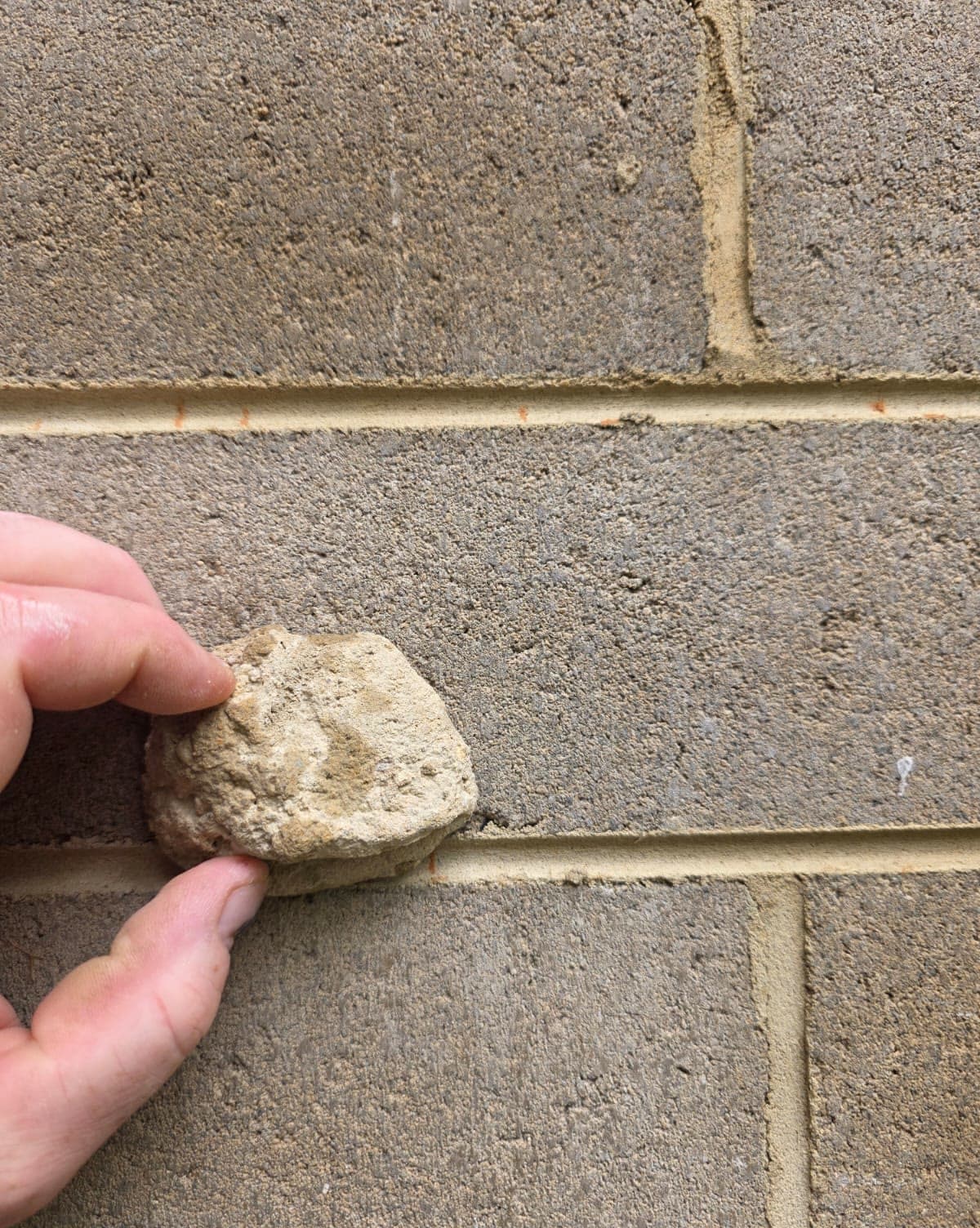 mortar colour sample card against a brick wall — JC Brick & Blocklaying — bricklayer Melbourne eastern suburbs